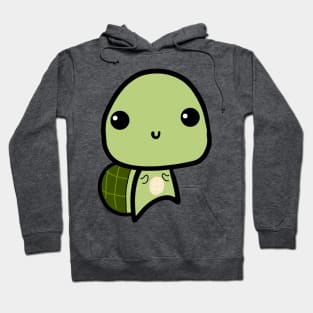 Turtle Hoodie